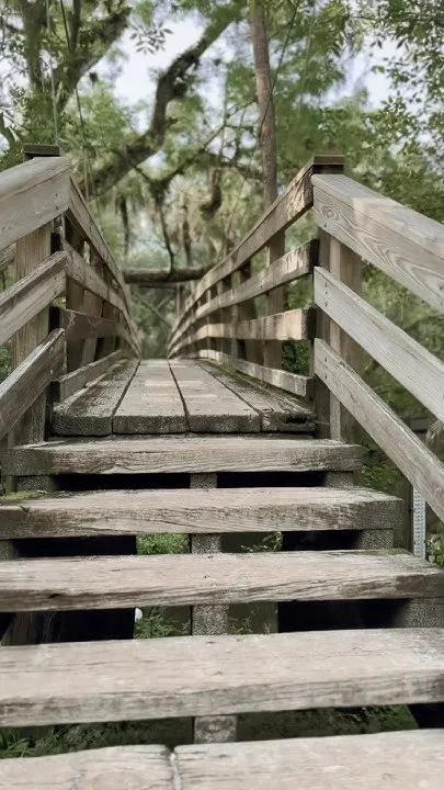 Jose And Katie Florida Adventure (Video)