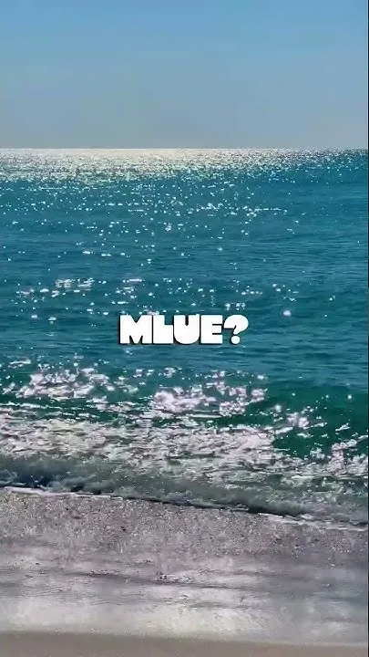 Blue Is Our Favorite Color (Video)
