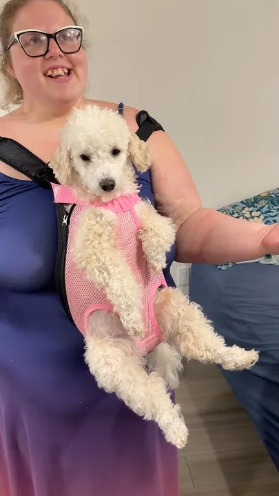 What do you think of this dog carrying bag? (Video)