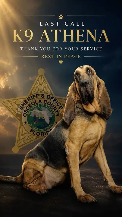 K9 Athena Last Call (Video)