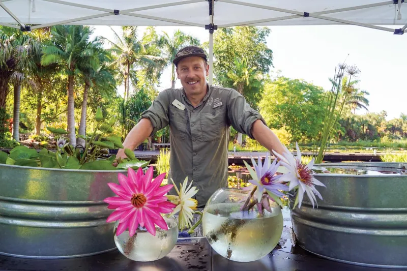 In Full Bloom at Waterlily Weekend