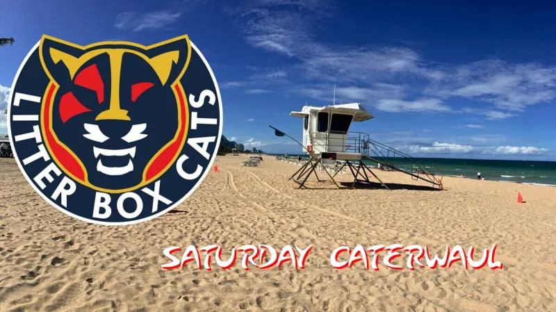 Saturday Florida Panthers Offseason Catewaul