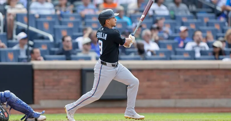Sanoja, Conine homer to help Marlins beat Mets 6-2