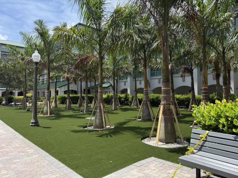 OPINION: Fake grass or fake values?