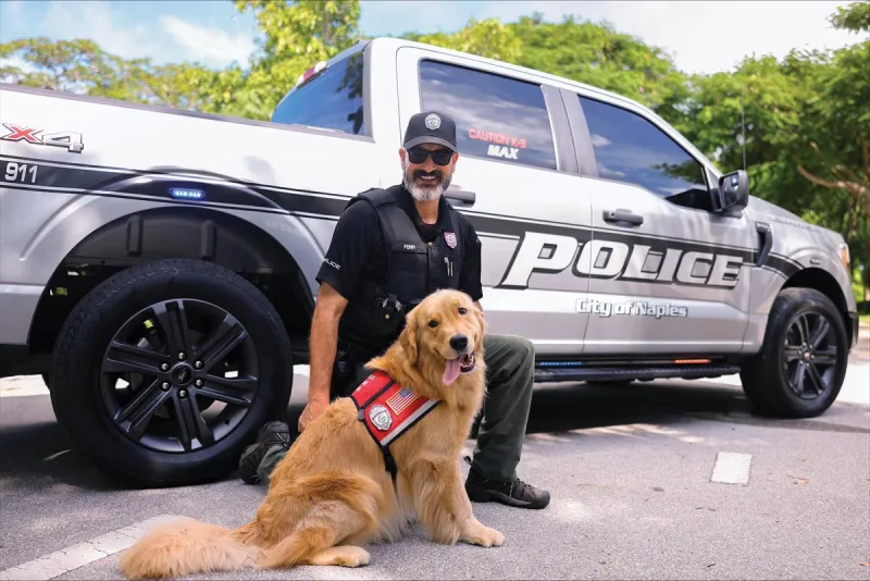 Canines Bring Calm to the Courtroom