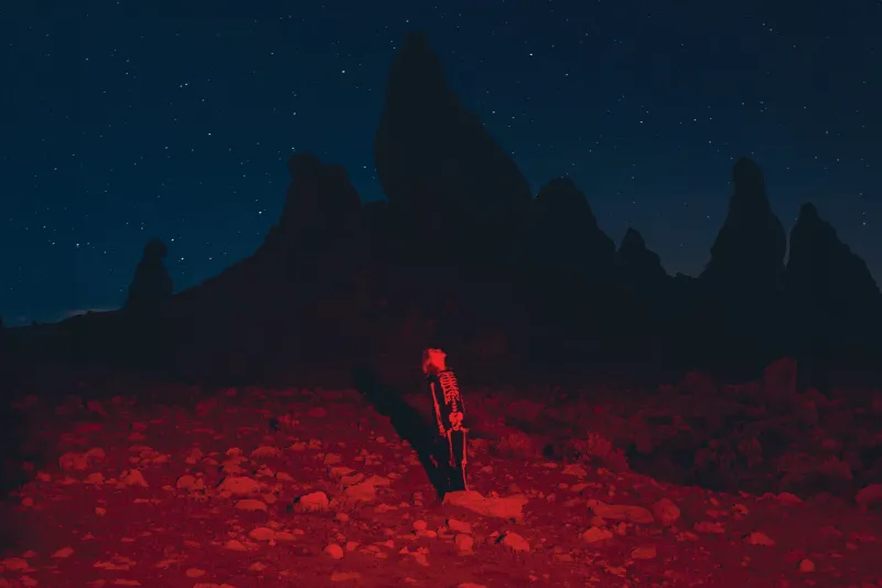 Phoebe Bridgers Is Premiering Her New Album in Planetariums - and Taking Everyone's Phone