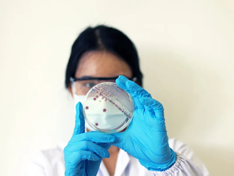 Researchers work to predict Vibrio in the Gulf