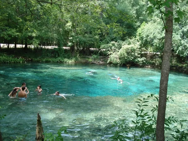 Aug 10, Ginnie Springs: Outdoor Water Adventures And Camping
