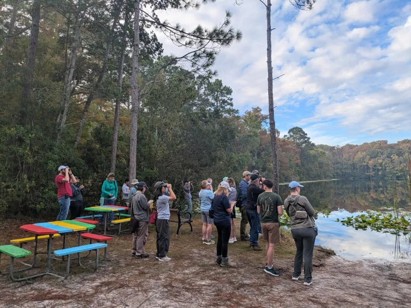 UNF Lights Out program works to protect Northeast Florida's migrating birds