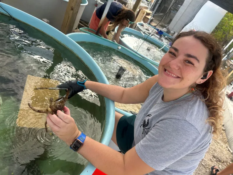 Eckerd College Marine Science Professor Earns $25,000 Grant Supporting Student Crab Research