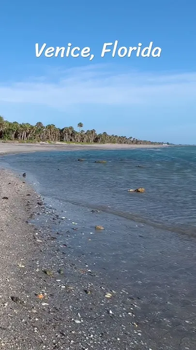 Venice, Florida (Video)