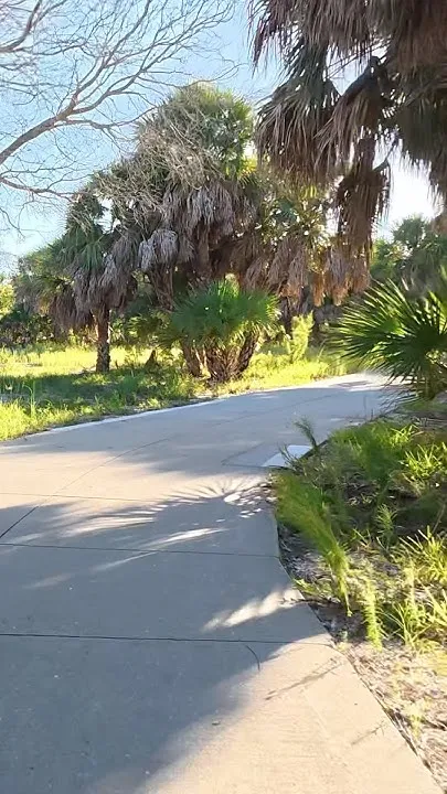 Looking For Katie (Video)