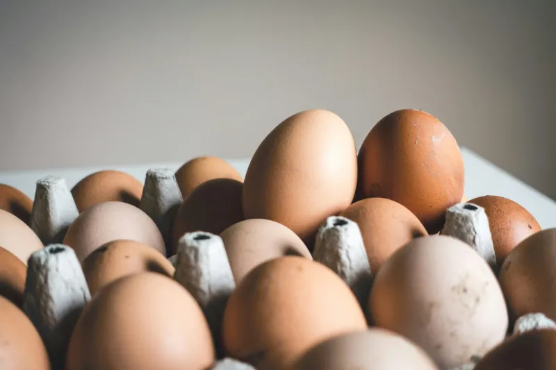 Nearly 19 Million Eggs Recalled After Salmonella Outbreak Sickens 98