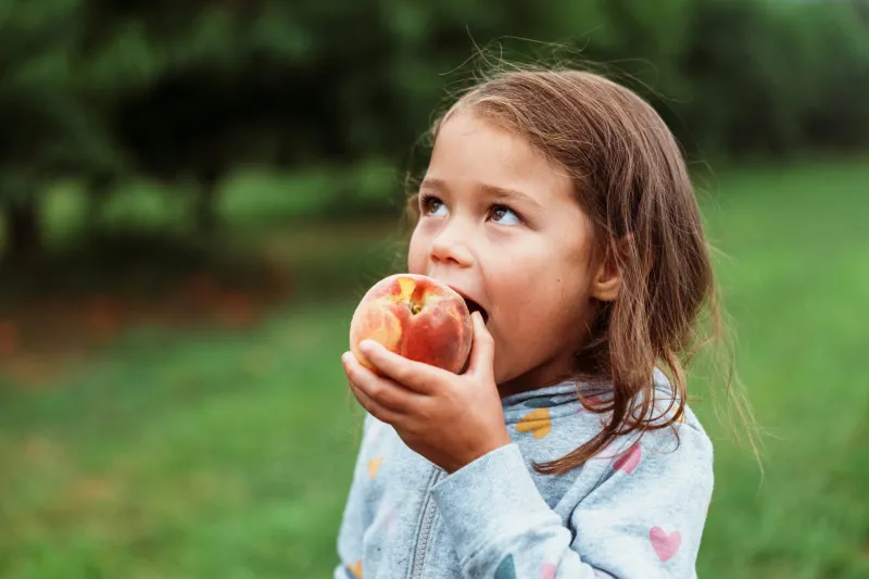 Florida Ranks Among Worst States for Giving Young Children a Healthy Start