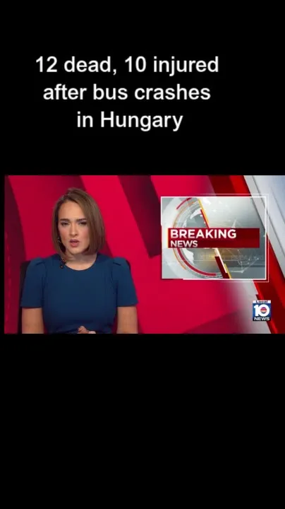 12 dead, 10 injured after bus crashes in Hungary (Video)