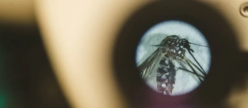 Every mosquito has a type - and you may not be it