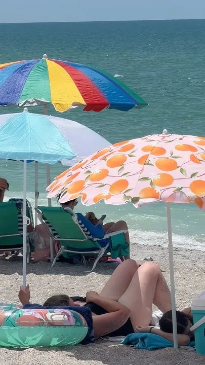 Manasota Beach, Florida (Video)