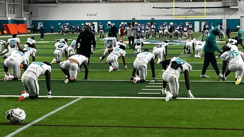 Dolphins & Giants turn up the heat in physical & fight filled joint practice