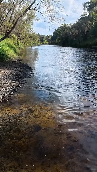 Peace River, Florida (Video)