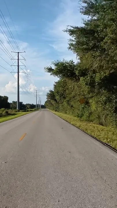 The Real Florida (Video)