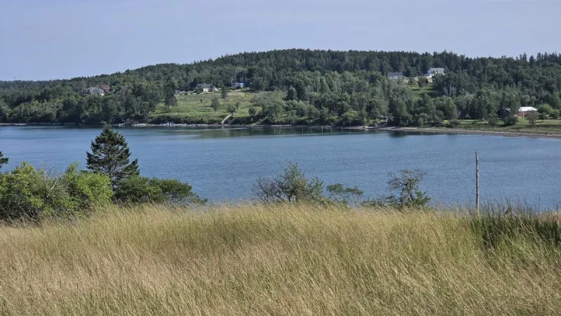 Federal regulators accept preliminary permit for underwater data center off Eastport