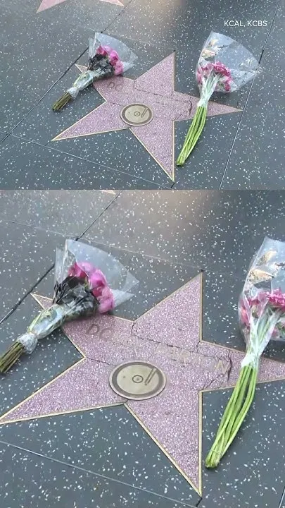 Fans put flowers on Dolly Parton's star on the Hollywood Walk of Fame (Video)