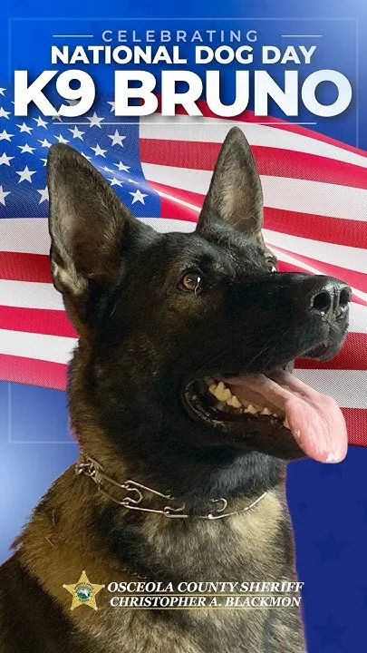 National Dog Day Celebration (Video)