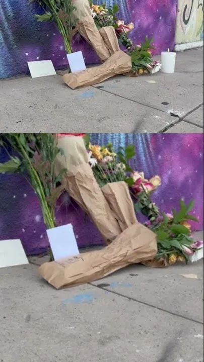 Fans place flowers by Dolly Parton mural in Tampa (Video)