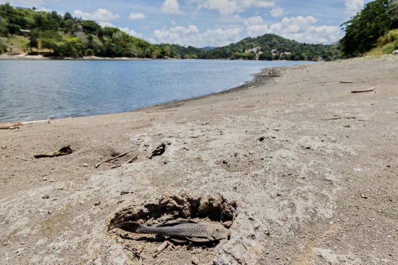 US declares drought disaster for parts of Puerto Rico as dry conditions persist