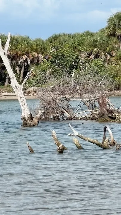 Stump Pass State Park. Florida Waterways (Video)
