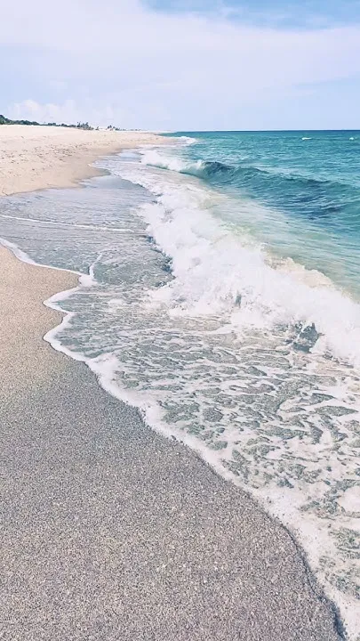 Stump Pass Beach (Video)
