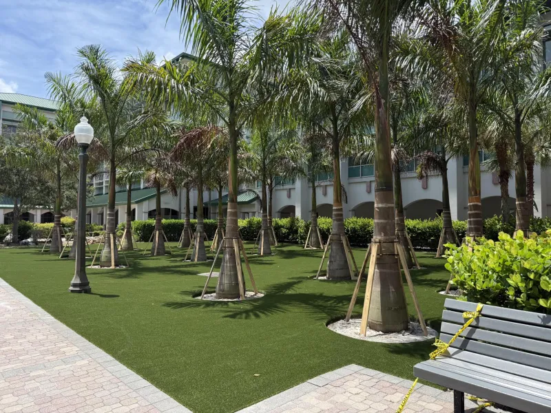 Artificial turf creates mixed reactions from students and staff