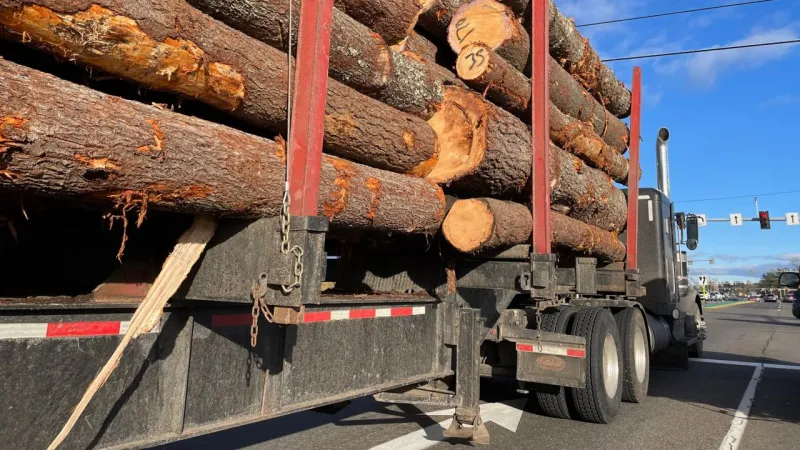 Collins warns Canadian tariffs will hit $170M in Maine goods, urges return to negotiations