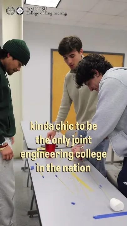 Kinda chic to love your college  #FAMUFSUCollegeofEngineering #FAMU #fsu (Video)