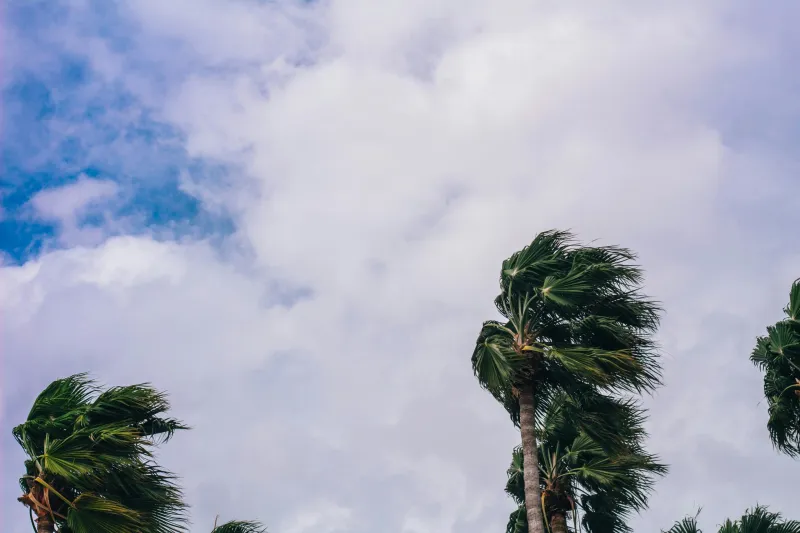 How Families Can Help Older Adults Prepare Their Florida Homes for Hurricane Season