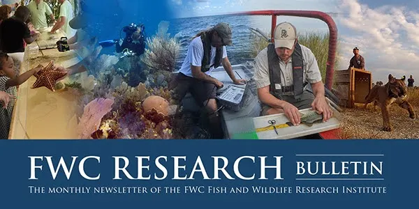 FWC Research Update: August 2026