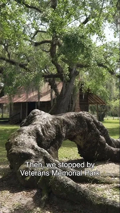 Small Town Stops in Lafayette County, FL (Video)