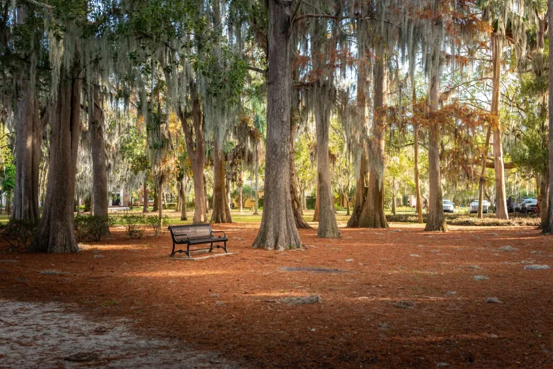 Ready, Not Worried: A Central Florida Homeowner's September Checkup