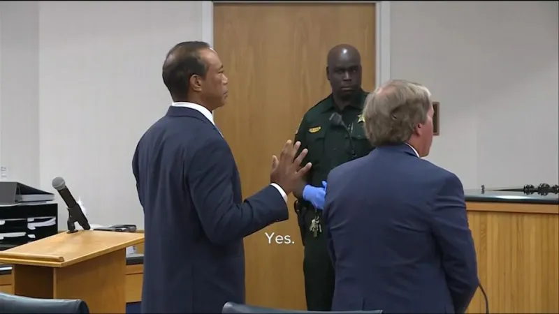 Tiger Woods loses license for 5 years, avoids DUI charge after changing plea