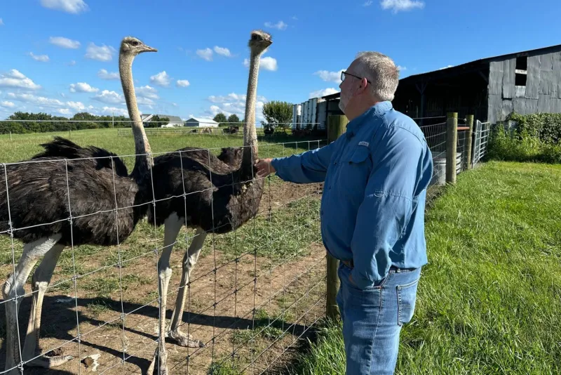 A Kentucky man with a meat allergy was craving a burger. So he got into ostrich farming