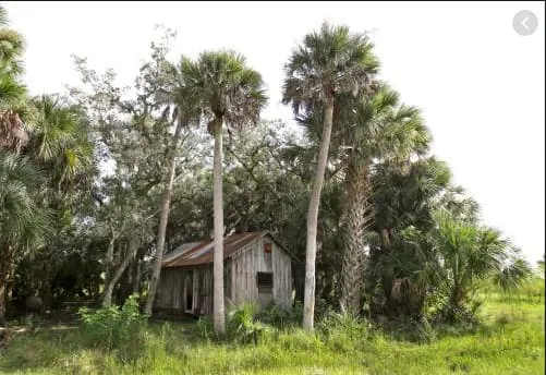 Sep 7, Deseret Ranches: 295,000 Acres of Old Florida