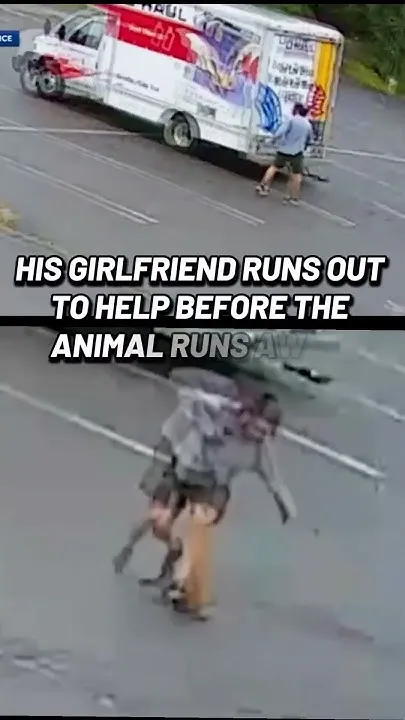 Mystery animal attacks three people (Video)