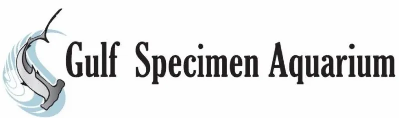 Stories from the Seaside - the E-newsletter of the Gulf Specimen marine Lab in Panacea