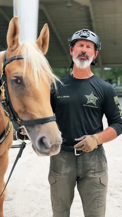 Giddy up. Another day of training. Just with a little more horsepower.  (Video)