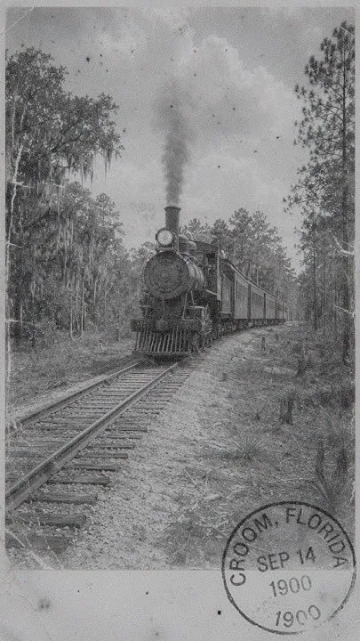 Secrets of the Forest: Croom's Abandoned Railroad & Turpentine Past (Video)