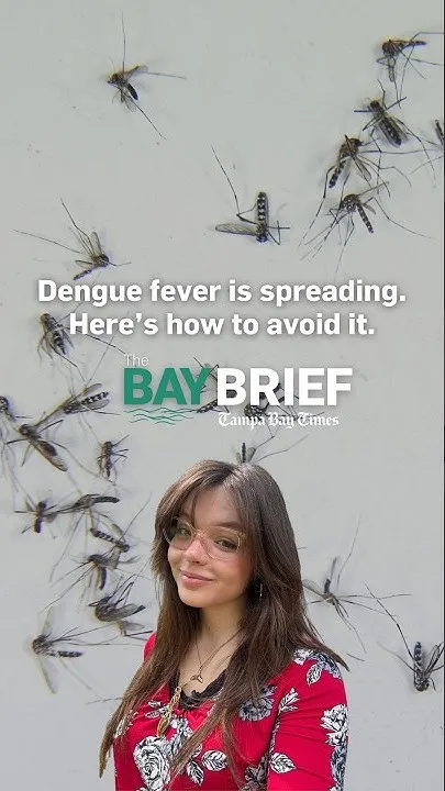 Dengue fever is spreading. Here's how to avoid it. (Video)