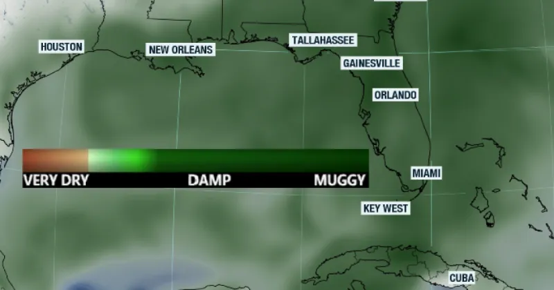 Stormy weather continues across Florida this weekend. King tides are here, too!
