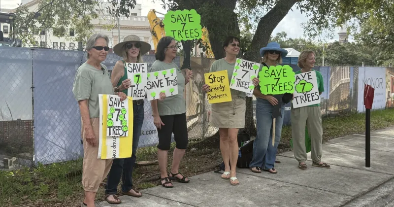 Tampa Tree Advocacy Group protests development, highlights citywide canopy concerns