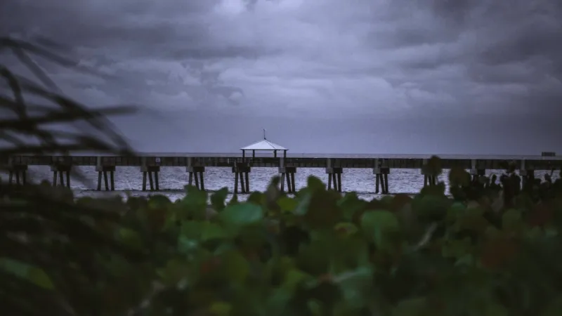 Preparing for Mold Remediation in South Florida After Hurricane Season