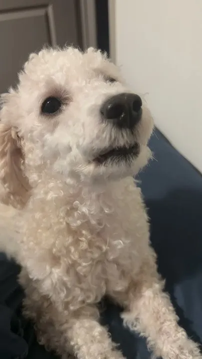Plummy Upset I Won't Play With Her Anymore (Video)